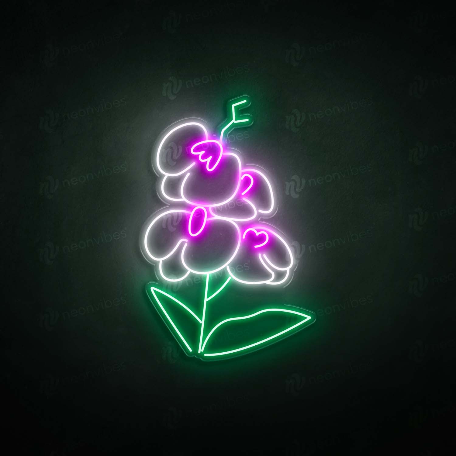 Neon Orchid 